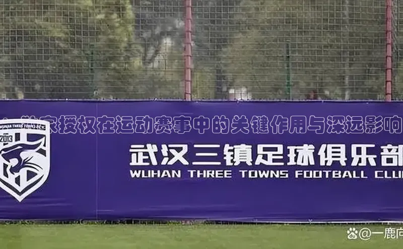 ：独家授权在运动赛事中的关键作用与深远影响