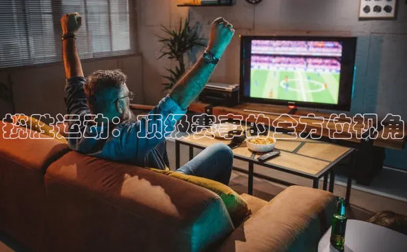 揽胜运动：顶级赛事的全方位视角