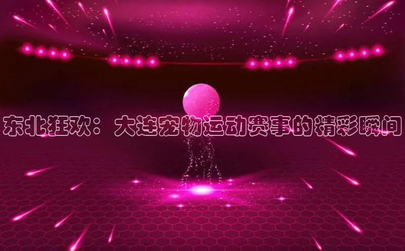 东北狂欢：大连宠物运动赛事的精彩瞬间