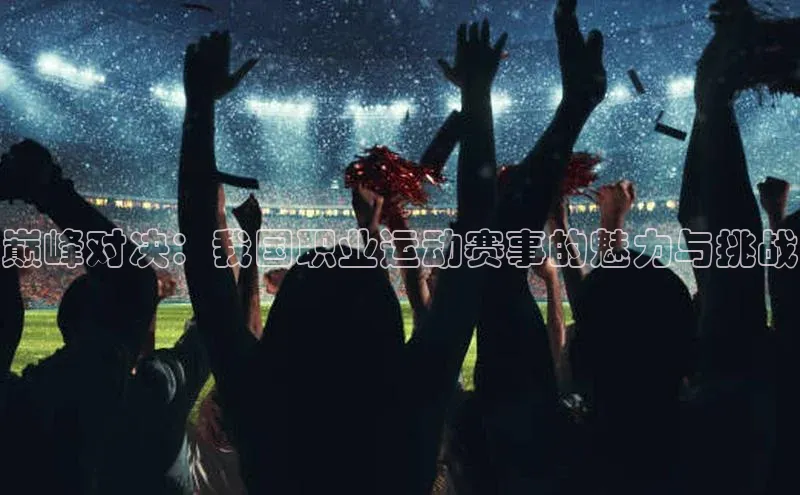 巅峰对决：我国职业运动赛事的魅力与挑战